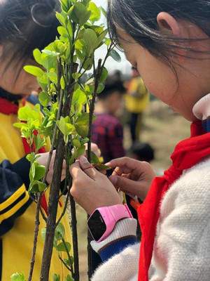 乐活营地长兴岛郊野公园店：上海植树研学活动的完美之地”