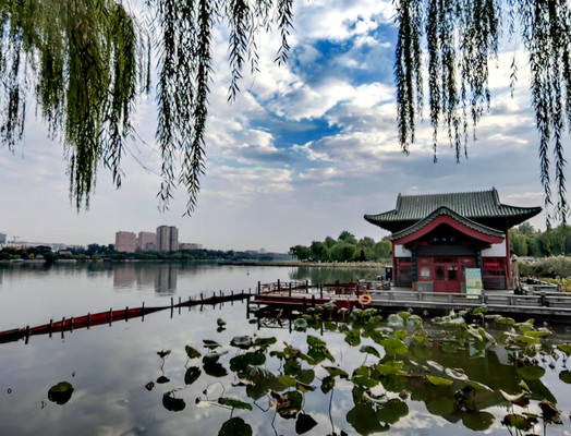 2023金秋游济南