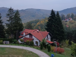 兹拉蒂博尔游记图文-塞尔维亚秋行：兹拉蒂博尔的诗意，河中小屋的守望