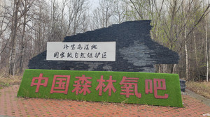 饶河游记图文-饶河县市区及周边自驾旅游攻略