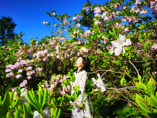 《营口V旅游》第三十一站