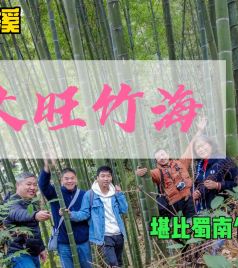 纳溪区中心游记图文-泸州纳溪的大旺竹海，风景秀丽规模巨大，堪比宜宾著名的蜀南竹海