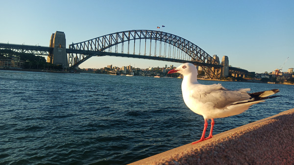 大洋洲看海观湖首选新西兰和澳大利亚地广人稀环保景美消费高