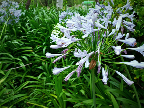 《骑行健身:普通人的隐形财富之路——“柳叶刀”研究揭示的健康与经济双赢策略》