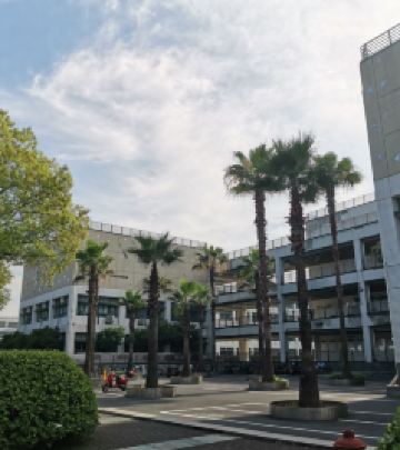 文教区/浙大紫金港校区游记图文-浙大紫金港校区的晨昏