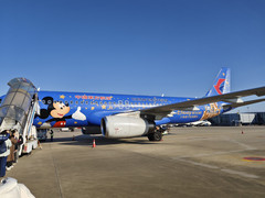 静冈县游记图片] 上海-静冈四日游