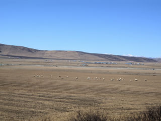 四月河西走廊漫游（第四站：从西宁返程）