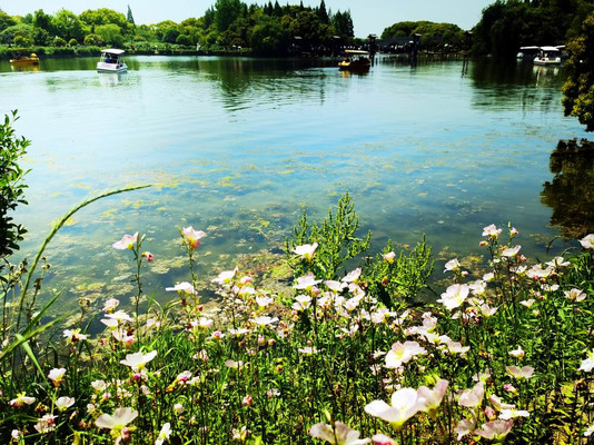 云游四海(1656)尚湖风景区