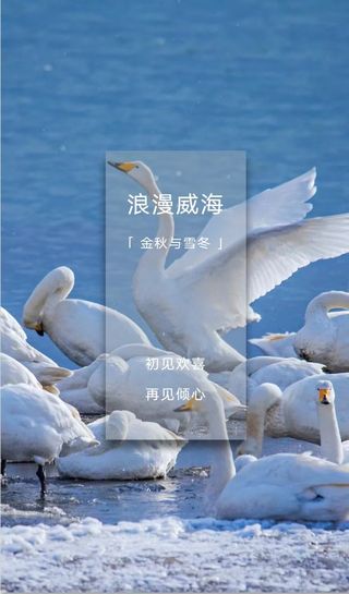 专属威海的浪漫，一座有山有海又有雪的小城