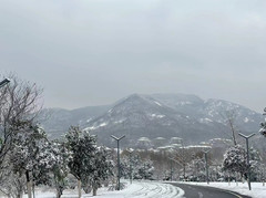 邹平游记图片] 雪后的蓝海御华大酒店