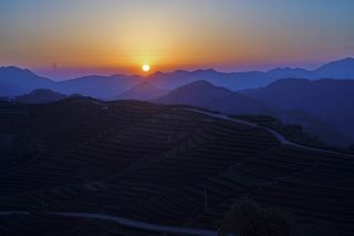 浙南好茶泰顺三杯香名扬四海,两位低调的幕后功臣,同样美誉满天下