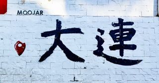 五一去哪人少？来大连看海喂海鸥，刷爆朋友圈！