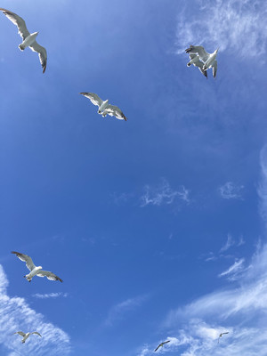 夏末威海行