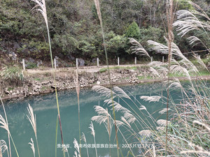 惠水游记图文-包融古今中外的长新村