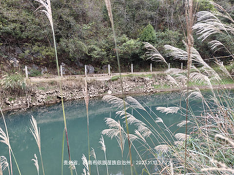 包融古今中外的长新村
