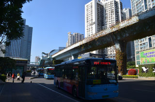 厦门 冬 2024年1月上旬 2