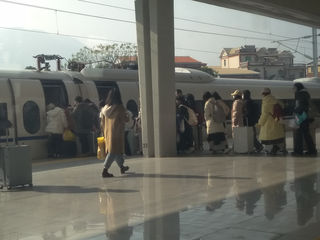 厦门 冬 2024年1月上旬 9 龙岩半日游