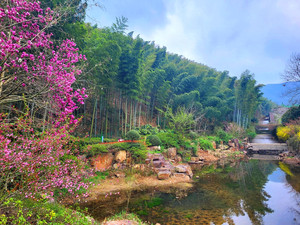 江郎山游记图文-2024年3月浙江、江苏自驾游攻略（二） 江苏宜兴竹海、兴化千垛景区