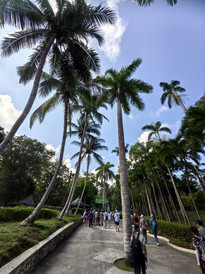 法尔茅斯游记图片] 云游四海（1882）加勒比海10国邮轮之十三：法尔茅斯