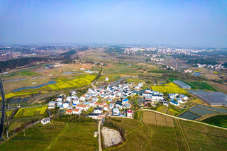 在武汉邂逅茶与花的浪漫，尽享悠闲好时光