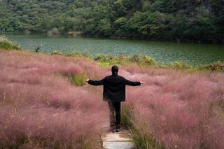 在威海乳山发现了一大片粉黛花海，还有特色美食