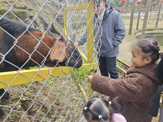 🌿 泸州亲子度假新地标 | 白马民宿度假村48小时漫游记