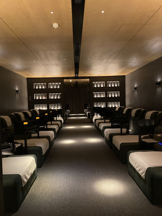 🌱经络觉醒｜在古老智慧中找回身体平衡