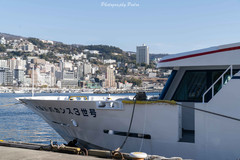 静冈县游记图片] 初春，一起开拓宝藏观光地日本静冈的新玩法