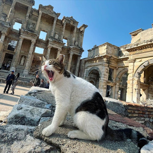 塞尔丘克游记图文-土耳其小众推荐|遗迹与悠静并存的塞尔丘克