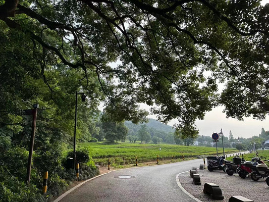 ☀️初光熹微，一份静谧的旅程 — 杭州灵隐寺⛩️🔔