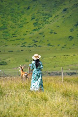 阿坝周边旅游攻略：探寻自然与文化的奇妙之旅