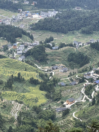 娄底小众景点-紫鹊界梯田