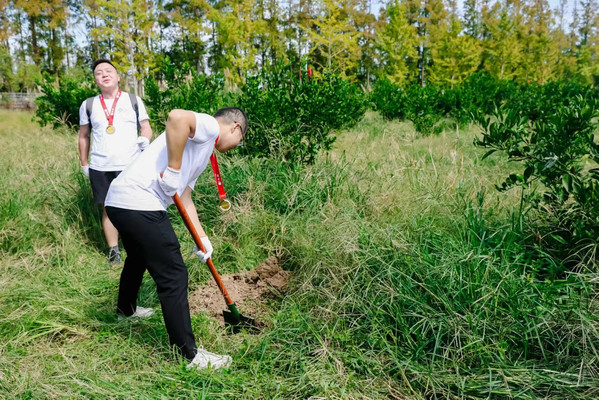 公司团建新体验 | 植树活动,播种绿色希望