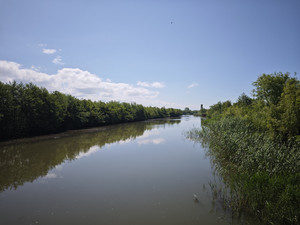 巴统游记图文-《40天悠游高加索三国，发现异域别样风景》（15） —— 格鲁吉亚・科尔基斯公园