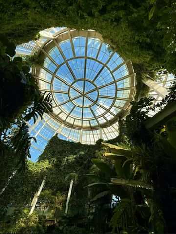 昆明植物园秋日美到窒息！附翠湖宝藏住宿攻略🌿