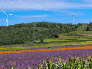 张北草原天路（蒙冀辽之四，202309）