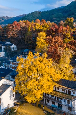 在尚湖游船，攀登虞山，下榻波司登打造的云端凯悦酒店