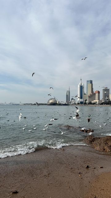 青岛自驾游 感受冬季沿海之寒冷