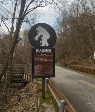 宇宙秘境之北纬31°：神农架遛娃行~