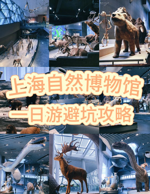 上海自然博物馆🦕 一日游避雷攻略🎫