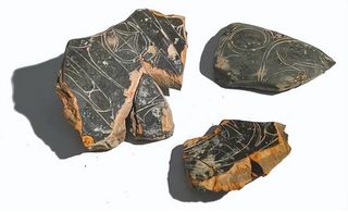 游历湖南澧州上古文明及公元前文明遗址