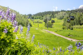 美国Aspen夏季运营开启！和山谷一起，换个方式热爱生活吧！