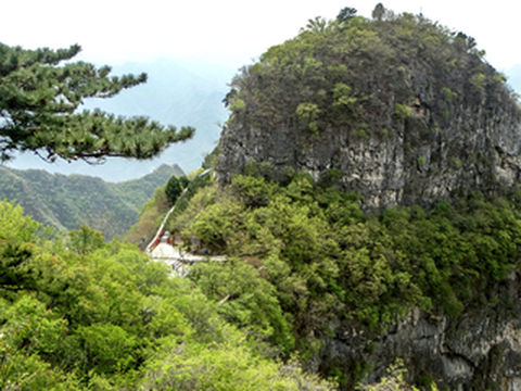 圣洁莲花秘境 传说与绝美风光