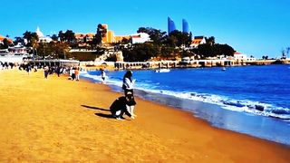 中国最美五大城区之一 万国建筑博物馆 凌空巨石是厦门的象征