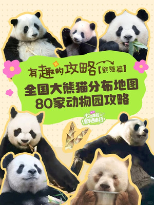 撸猫地图丨人生清单+1去看一次熊猫