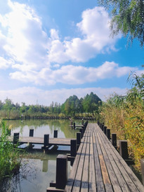 沙家浜风景区游记图片] 秋游沙家浜，做一回水乡姑娘