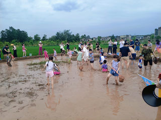 成都遛娃|夏日自然教育-探索乡野，做大自然的孩子