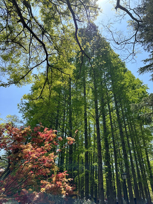 五一来山东看海啦 在青岛自驾游