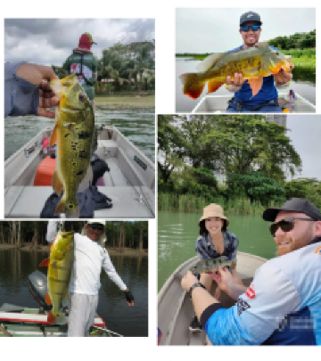 蒲种游记图文-马来西亚 蒲种 | 船钓 Peacock Bass 孔雀鲈