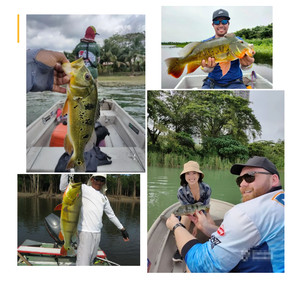 雪兰莪州游记图文-马来西亚 蒲种 | 船钓 Peacock Bass 孔雀鲈